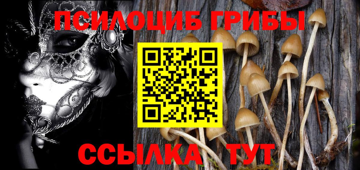 Псилоцибиновые грибы MAGIC MUSHROOMS Иркутск