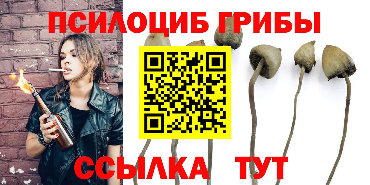 Иркутск  Галлюциногенные грибы Cubensis  Вход с VPN  Псилоцибиновые грибы мицелий 